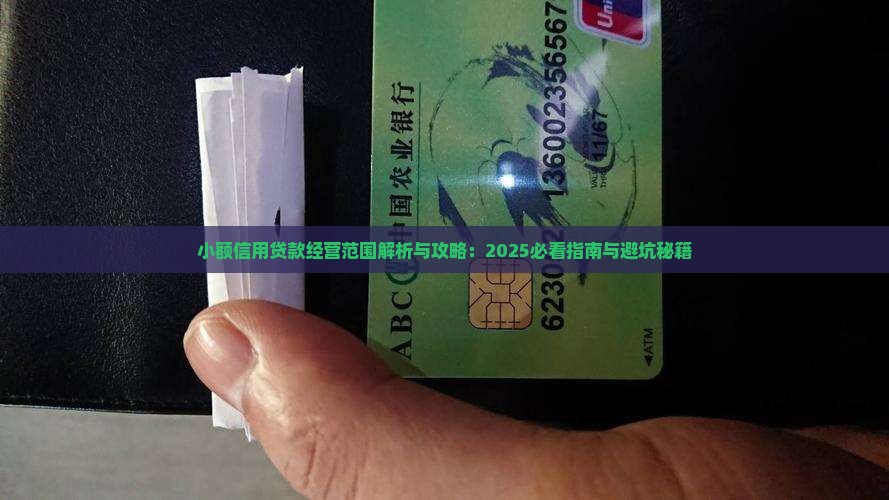 小额信用贷款经营范围