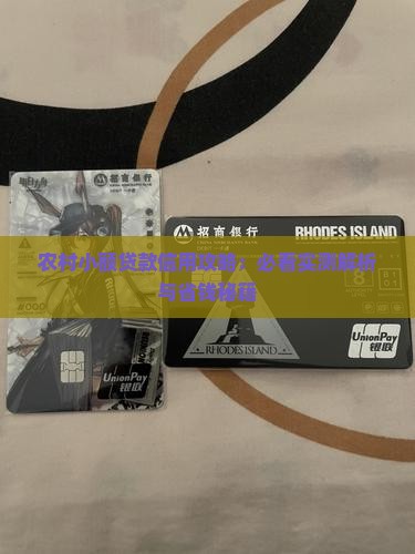 农民小额贷款还款措施