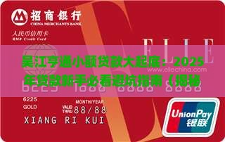 吴江亨通小额贷款