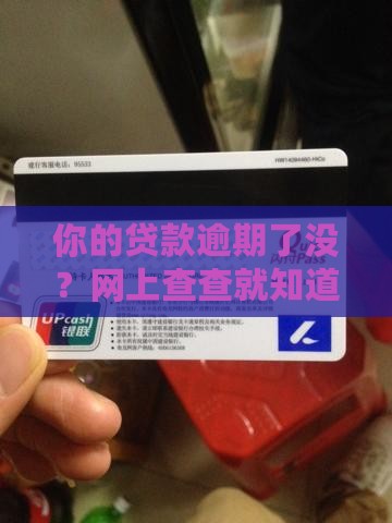 咋样查网上有贷款逾期