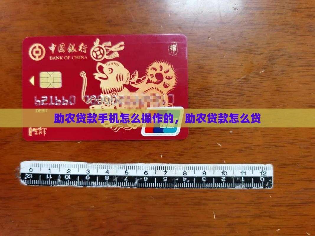 助农贷款手机怎么操作的
