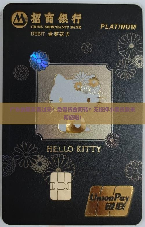 广东个人无抵押小额贷款