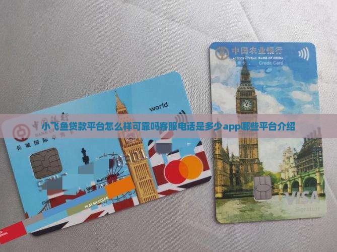 小飞鱼贷款平台