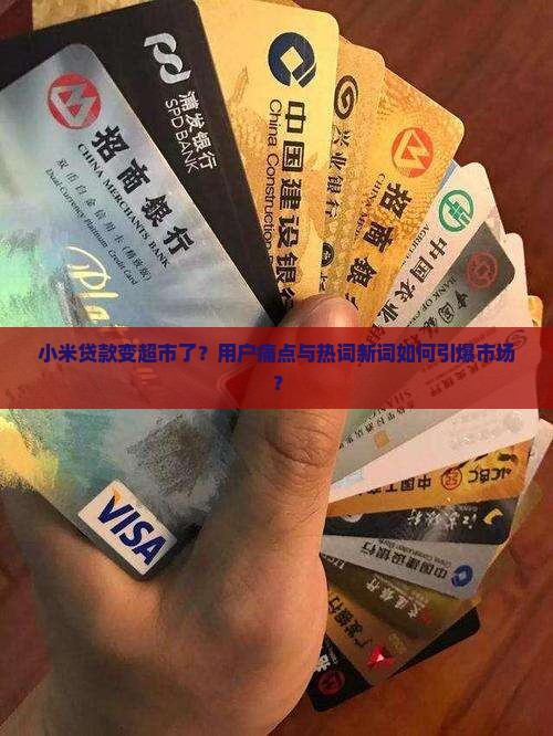 小米贷款变超市了
