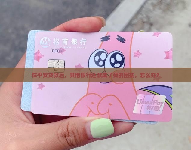 平安贷款其他银行还款