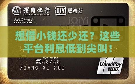 小额度贷款低利息的平台