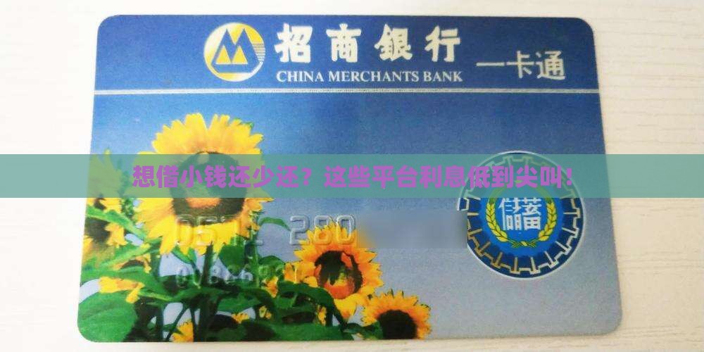 小额度贷款低利息的平台