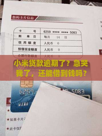 小米贷款逾期借不了了