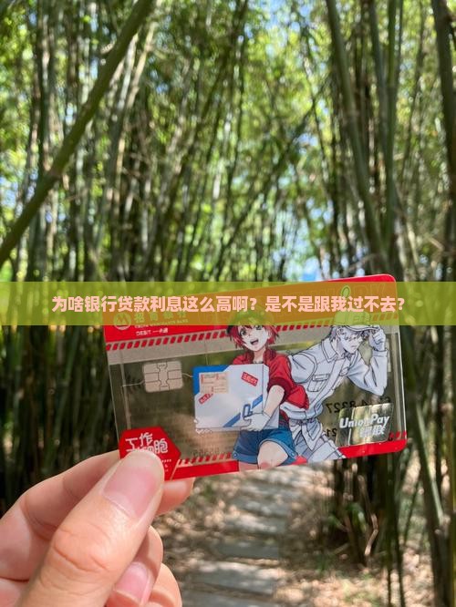 向银行贷款利率高