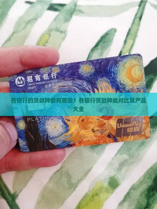 各银行的贷款种类