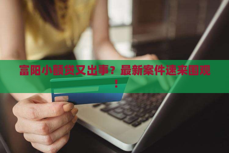 富阳区小额贷款最新案件