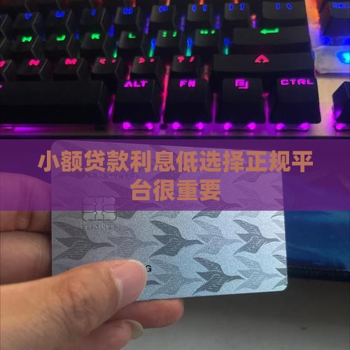 小额贷款利息低分期
