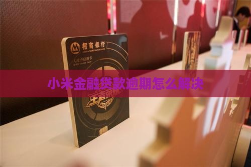 小米暂停贷款