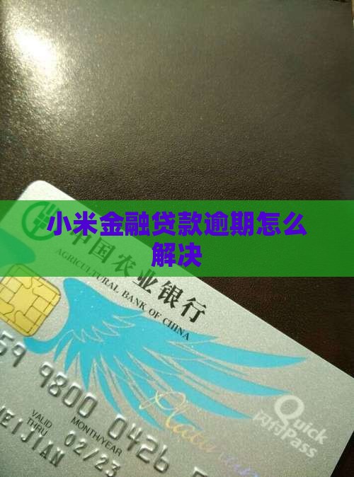 小米暂停贷款
