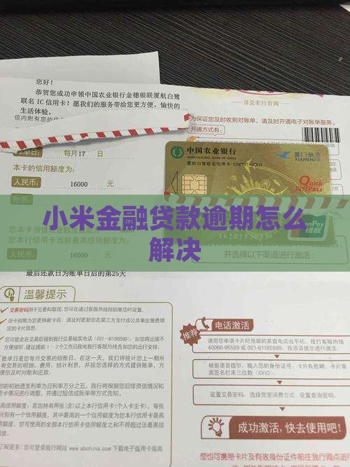 小米暂停贷款