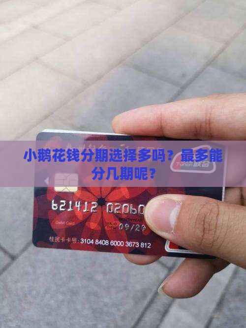 小鹅花钱贷款能分几期