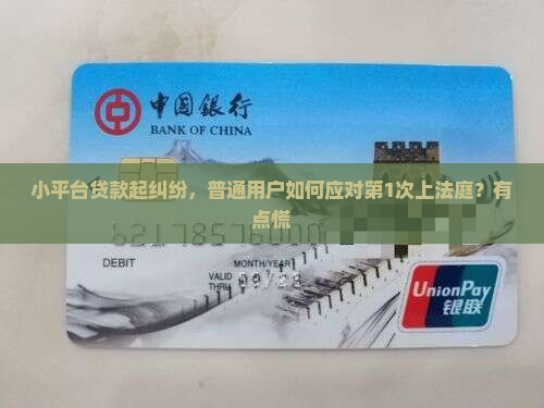 小平台贷款上法庭