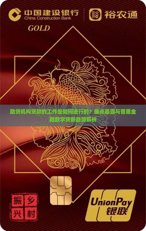 助贷机构贷款的工作