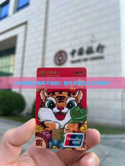 小米贷款信息用途