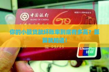 小额贷款坏帐率怎么算