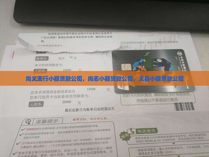 尚义支行小额贷款