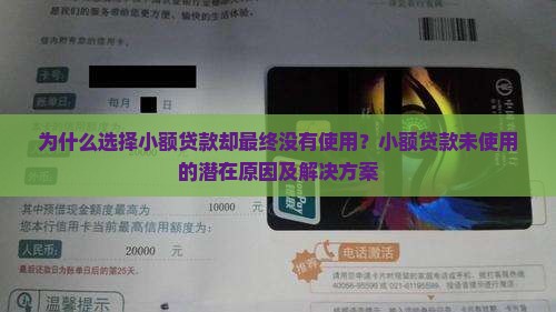 小额贷款成功不使用