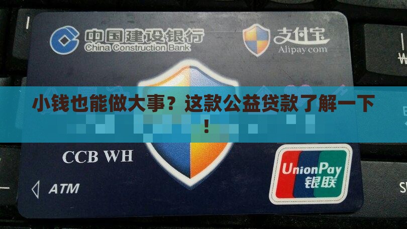公益性质小额贷款