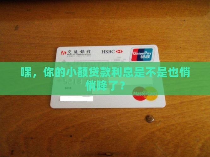 小额贷款利息下降了