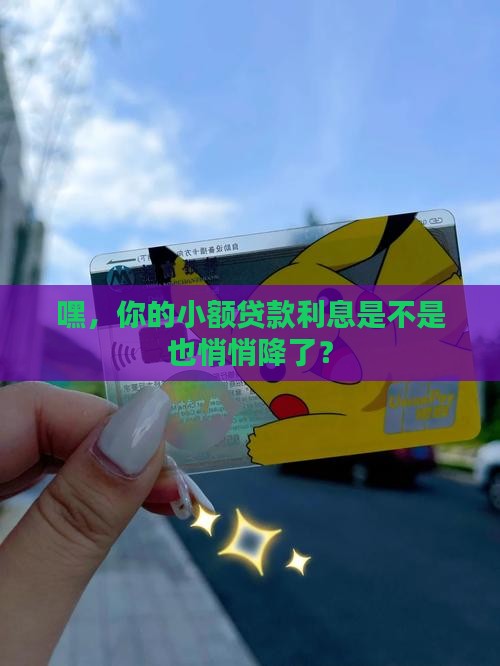 小额贷款利息下降了