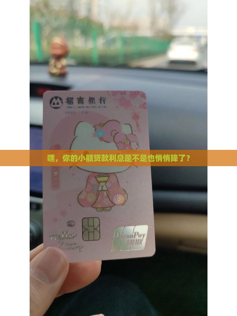 小额贷款利息下降了