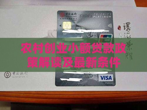 农村创业小额贷款政策