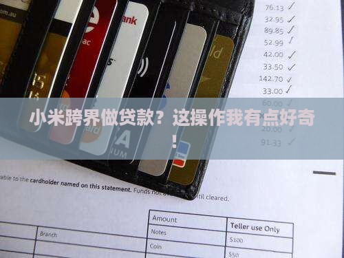 小米怎么做贷款了 小米怎么做贷款了