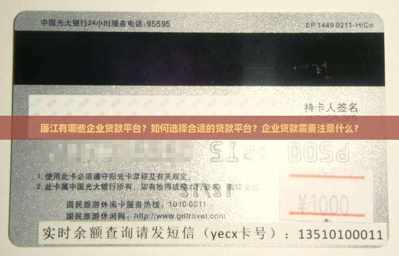 廉江有哪些企业贷款平台