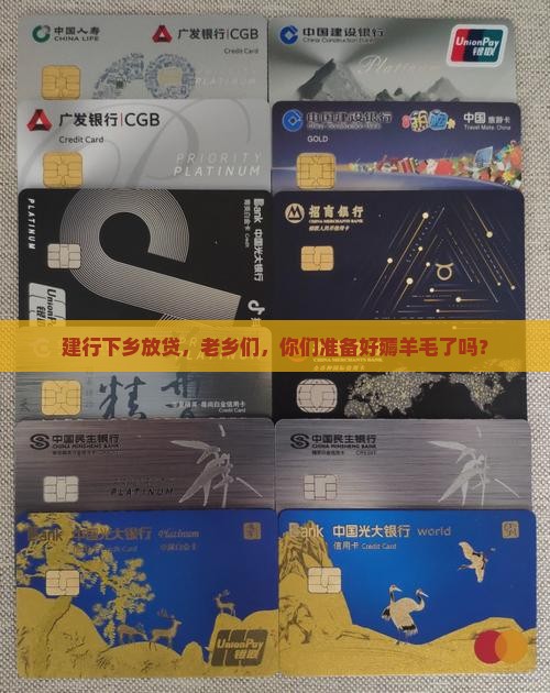 建设银行去农村贷款