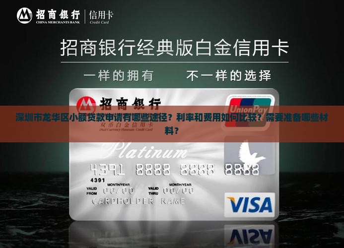 市龙华小额贷款