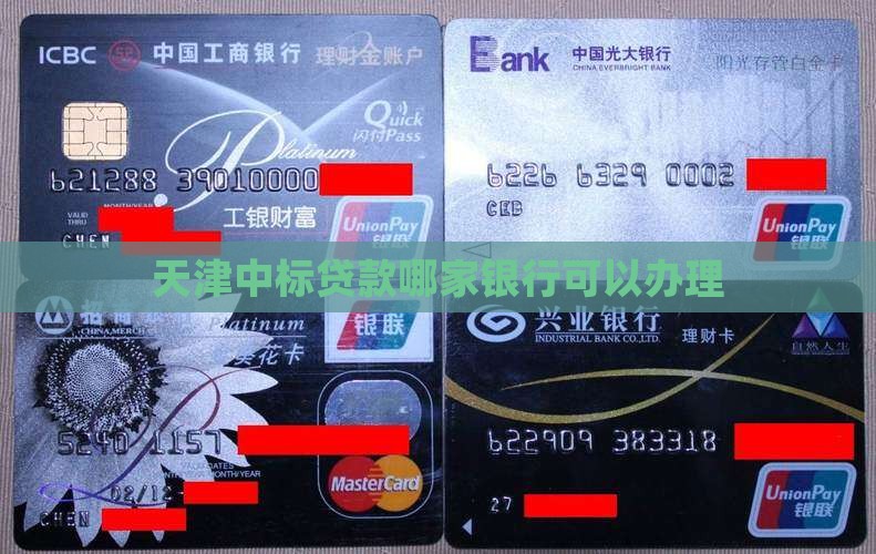 天津中标贷款哪个银行能做