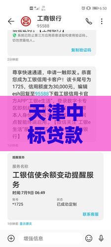 天津中标贷款哪个银行能做
