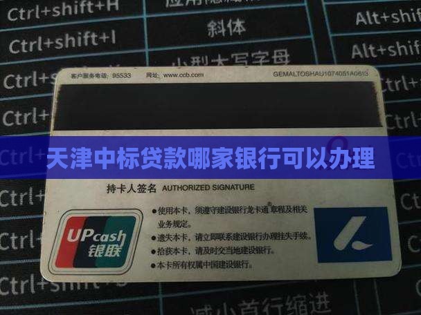 天津中标贷款哪个银行能做