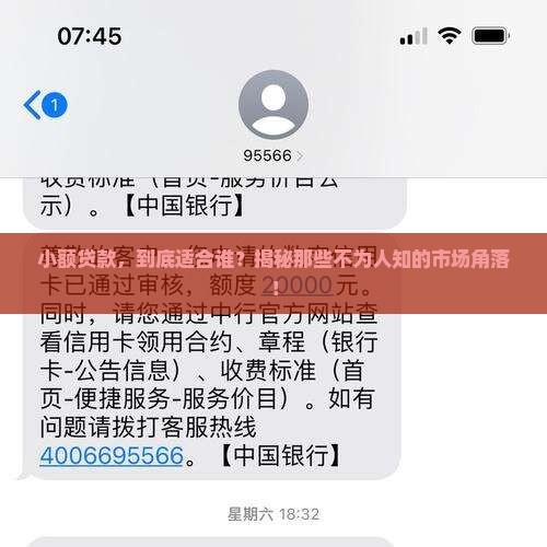 小额贷款的市场细分