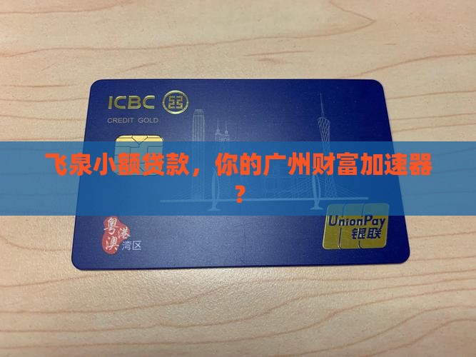 广州市飞泉小额贷款