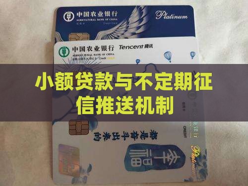 小额贷款不定期推送征信