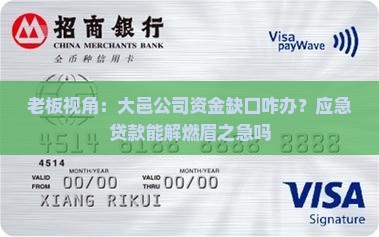 大邑公司应急贷款