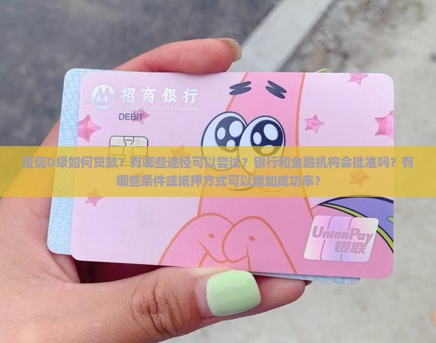 征信D级如何贷款