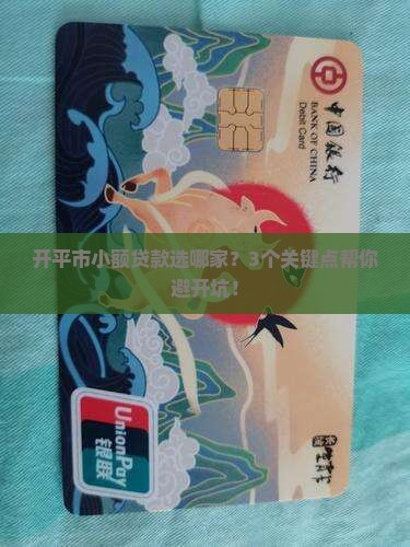 开平市小额贷款