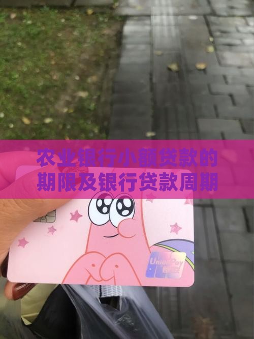 农行小额贷款周期