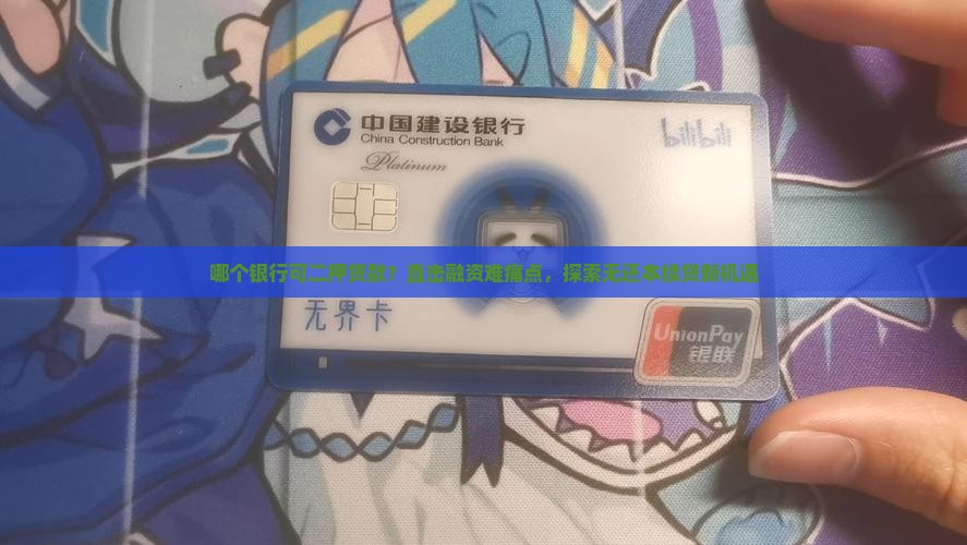 哪个银行可二押贷款