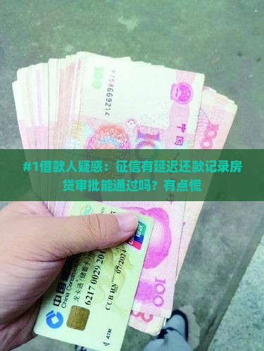 征信有延迟还款影响贷款