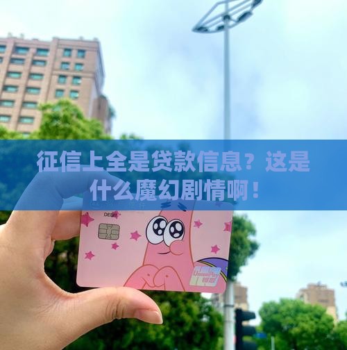 征信全是贷款信息