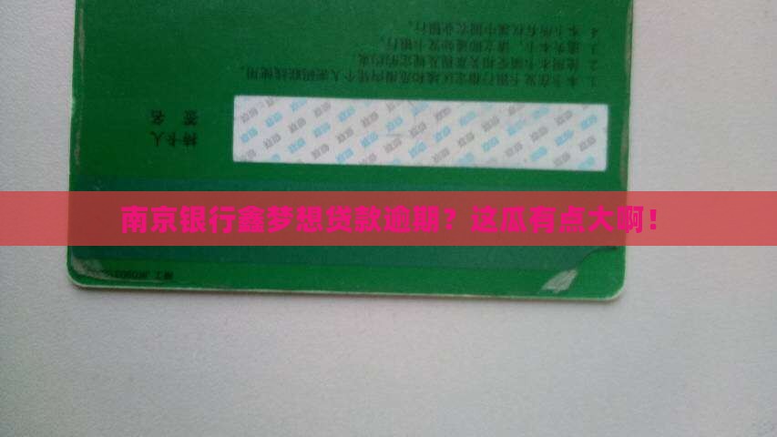 南京银行鑫梦想贷款逾期