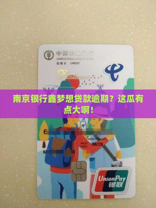 南京银行鑫梦想贷款逾期